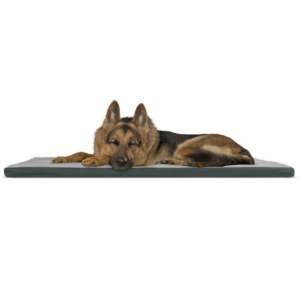 Tucker Murphy Pet™ Rosenblum Modular Kennel Cage Replacement Floor Tray